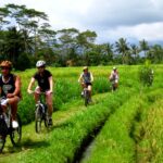 Bali Cycling Tour