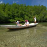 Mangrove Forest Tour - Nusa Lembongan