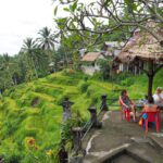 Rice Field in Tegalalang Bali